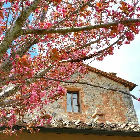 Feriegård Borgo De Brandi